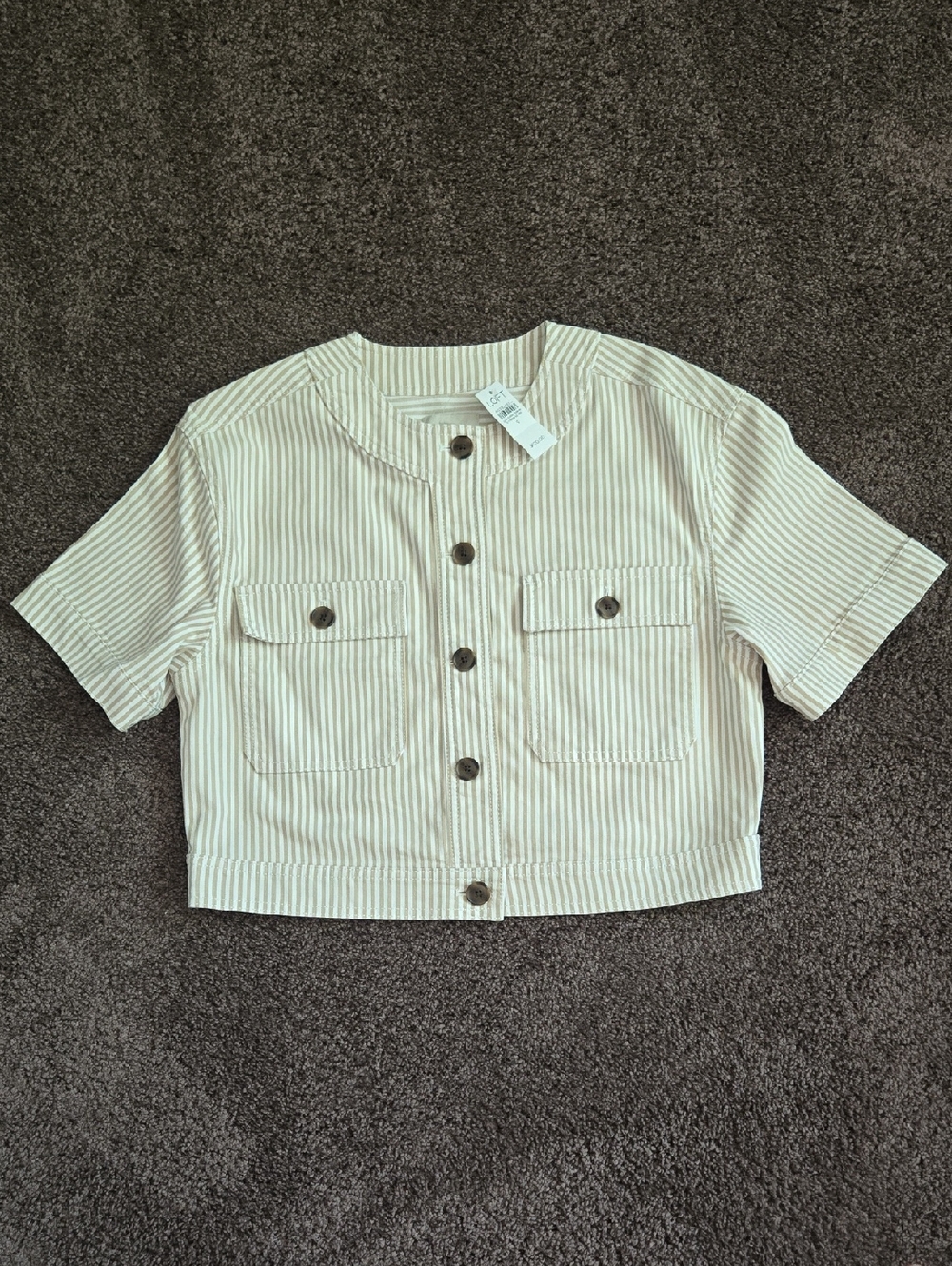 NEW Ann Taylor Loft Brown White Stripe Short Sleeve Jacket S